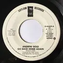 7inch Vinyl Single - Andrew Gold - Go Back Home Again