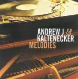 Andrew J & Zsolt Kaltenecker - Melodies