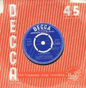 Andrew Loog Oldham Orchestra - 365 Rolling Stones (One For Every Day Of The Year)
