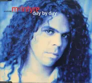 Andrew McIntyre - Day By Day