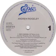 12inch Vinyl Single - Andrew Ridgeley - Red Dress