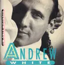12inch Vinyl Single - Andrew White - I'm Only Wounded