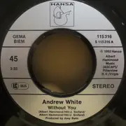 7inch Vinyl Single - Andrew White - Without You
