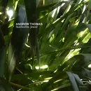 CD - Andrew Thomas - Fearsome Jewel