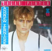 Andrew Zernicke - Organ Player