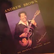 Andrew Brown - Big Brown's Chicago Blues