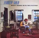 LP - Andrew Gold - What's Wrong With This Picture?