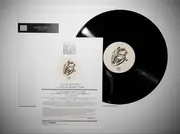 12inch Vinyl Single - Andrey Zots - Not So Secret Diary