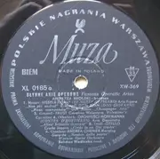 LP - Andrzej Hiolski , Orkiestra Teatru Wielkiego W Warszawie , Bohdan Wodiczko - Famous Operatic Arias