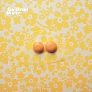 Ane Brun - Duets