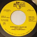 7inch Vinyl Single - Ange Humphrey - Somebody Wake Me