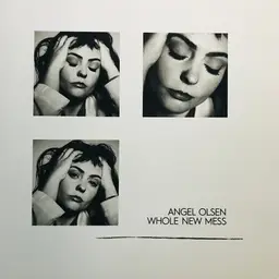 Angel olsen whole new mess 3
