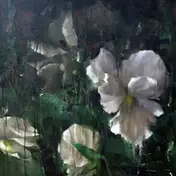 ANGELE DAVID-GUILLOU - Kourouma