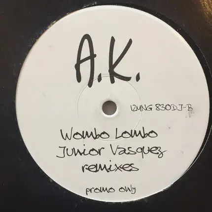 Angélique Kidjo - Wombo Lombo (Junior Vasquez Remixes)