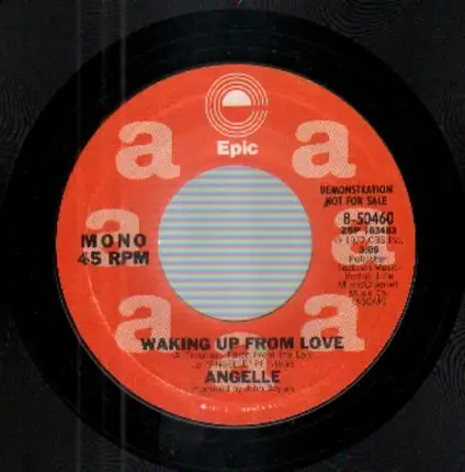 Angelle - Waking Up From Love / Shooting Stars
