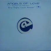 angels of love - One Night Love Affair