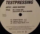12inch Vinyl Single - Angie Martinez Featuring Lil' Mo & Sacario - If I Could Go!