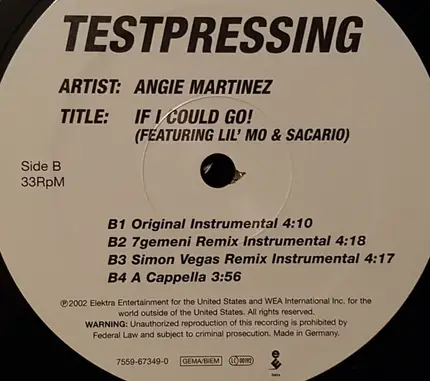 Angie Martinez Featuring Lil' Mo & Sacario - If I Could Go!