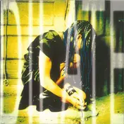 Ani DiFranco - Dilate