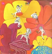 Anita - Flores Beat Happy Hippie