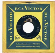 Anita Gordon - Joey / Scare-Dy Cat
