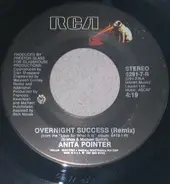 Anita Pointer - Overnight Success ( Remix )