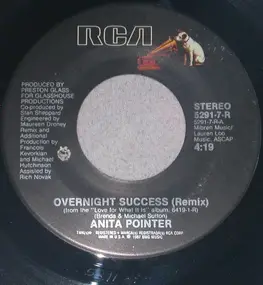 Anita Pointer - Overnight Success ( Remix )