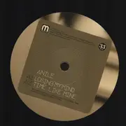 12inch Vinyl Single - Anile - Losing My Mind E.P. - EP