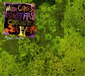 Animal Collective - Water Curses