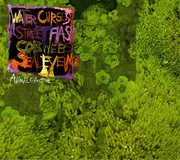 CD Single - Animal Collective - Water Curses