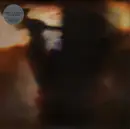 12inch Vinyl Single - Animal Collective - Fall Be Kind