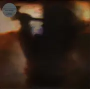 12inch Vinyl Single - Animal Collective - Fall Be Kind