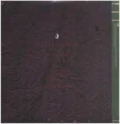 Double LP & MP3 - Animal Collective - Feels - + Mp3