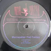 Double LP & MP3 - Animal Collective - Merriweather Post Pavilion - Deluxe 180g Gatefold