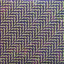 Double LP - Animal Collective - Merriweather Post Pavilion - 180 g.