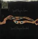 Double LP - Animal Collective - Spirit They're Gone, Spirit They've Vanished