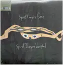 Double LP - Animal Collective - Spirit They're Gone, Spirit They've Vanished