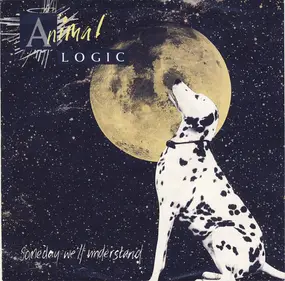 Animal Logic - Someday We'll Understand