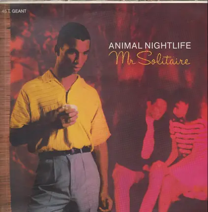 Animal Nightlife - Mr Solitaire