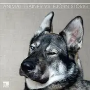 Animal Trainer - Animal Trainer Vs Björn Störig