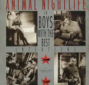 12inch Vinyl Single - Animal Nightlife - Boys With The Best Intentions