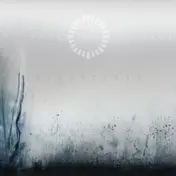 Animals as Leaders - Weightless (neon Yellow)