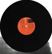LP - Anime and Manga Theme Music - Kamen no Ninja Akakage - OBI incl.