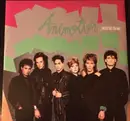 12inch Vinyl Single - Animotion - I Want You (Club Mix)