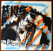 LP - Ans - The Process Of Stoking Out - Numbered, Orange, Spray painted, Insert