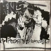 LP - Ans - The Process Of Stoking Out - Numbered, Orange, Spray painted, Insert