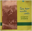 10'' - Ansambel Bratov Avsenik - Tam Kjer Murke Cveto