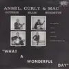 LP - Ansel Guthrie, Curly Ellis & Mac Burdette - What A Wonderful Day