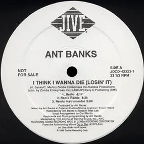 Ant Banks - i think i wanna die (losin' it)