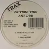 12inch Vinyl Single - Ant Dub - Picture This